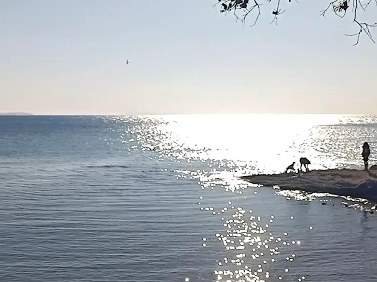 Tavşanburnu Tabiat Parkı - 3