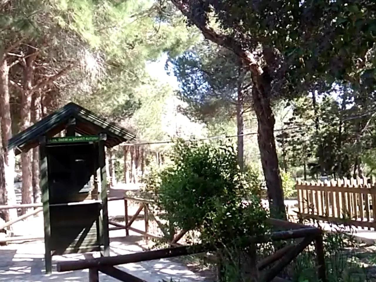 Tavşanburnu Tabiat Parkı - 4
