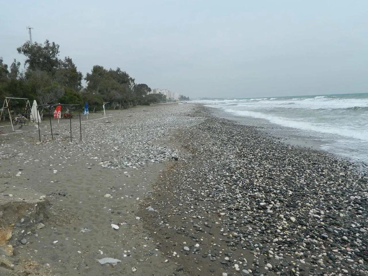 Tece Halk Plajı - 4