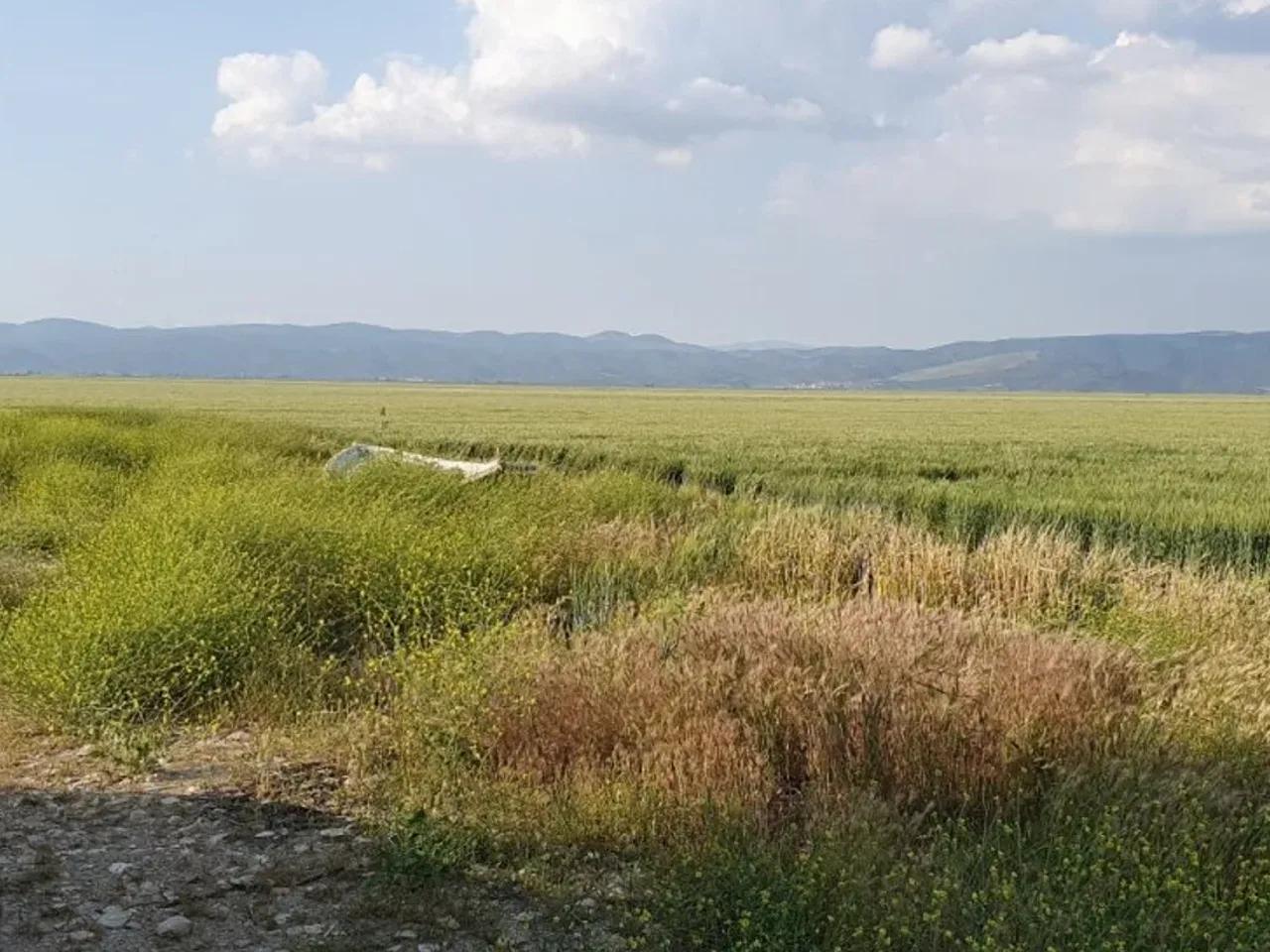Tekelioğlu, - 3