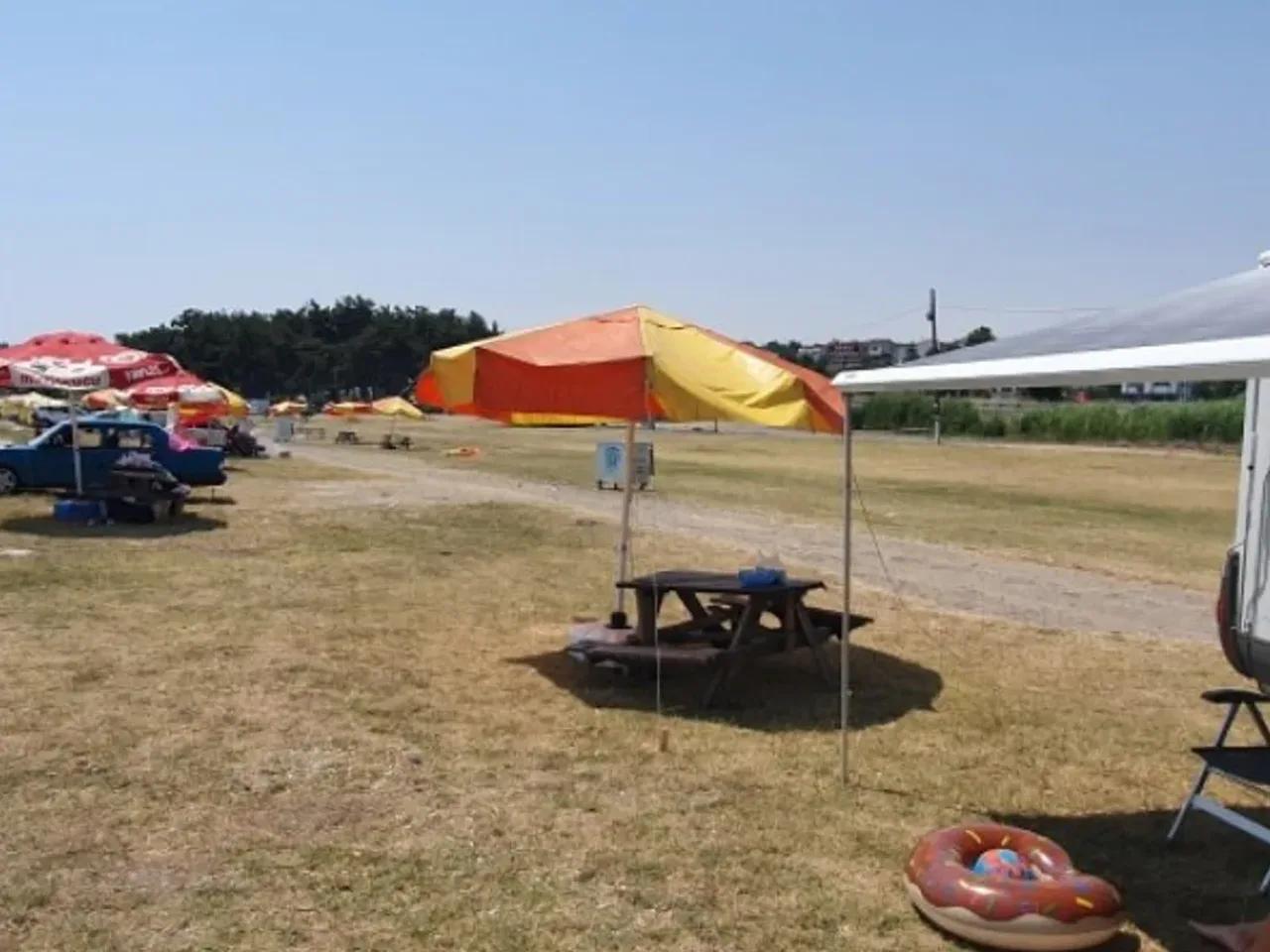 Tekirdağ ,Karaevli - 2