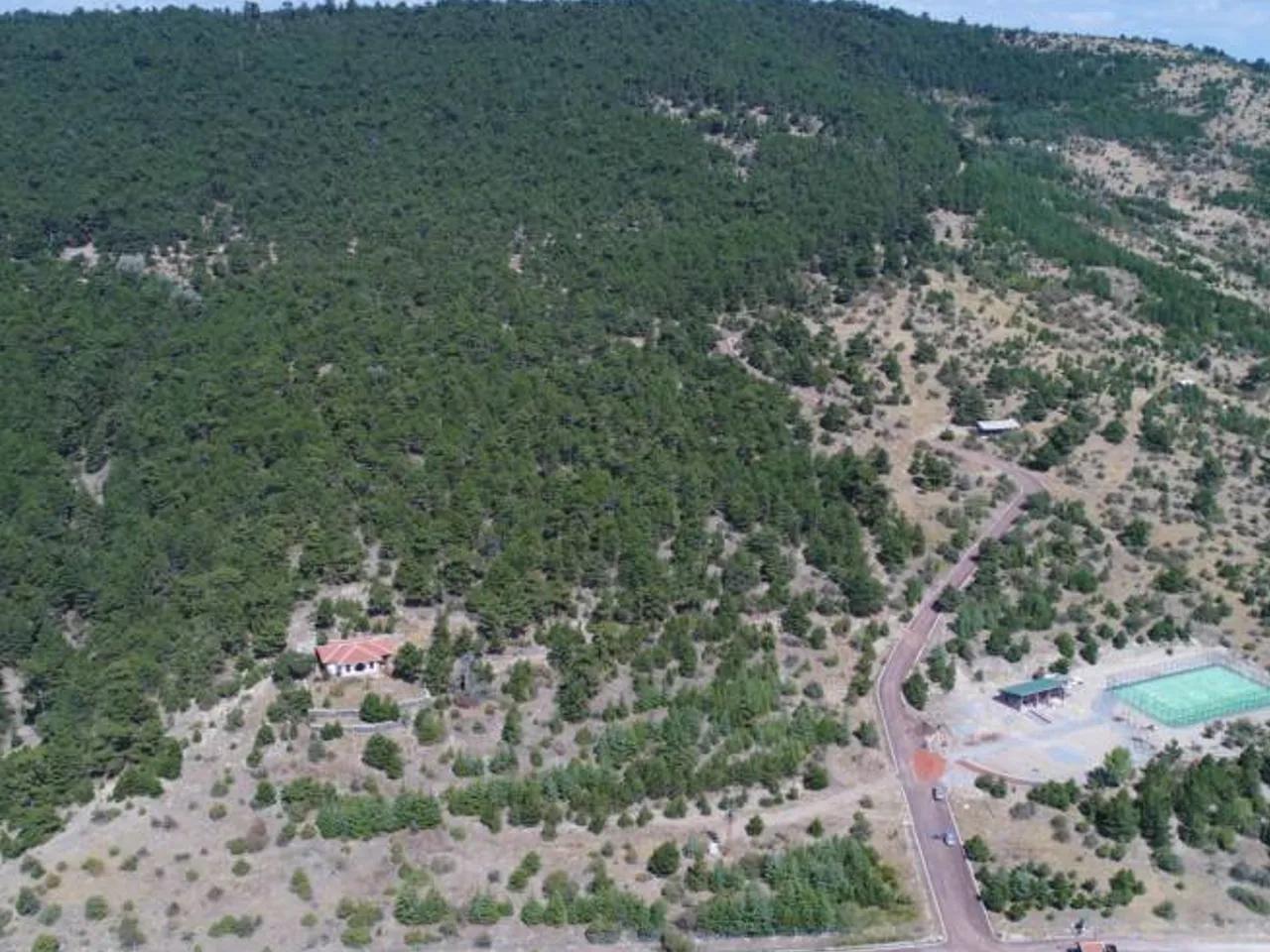 Tekkedağı Tabiat Parkı - 4