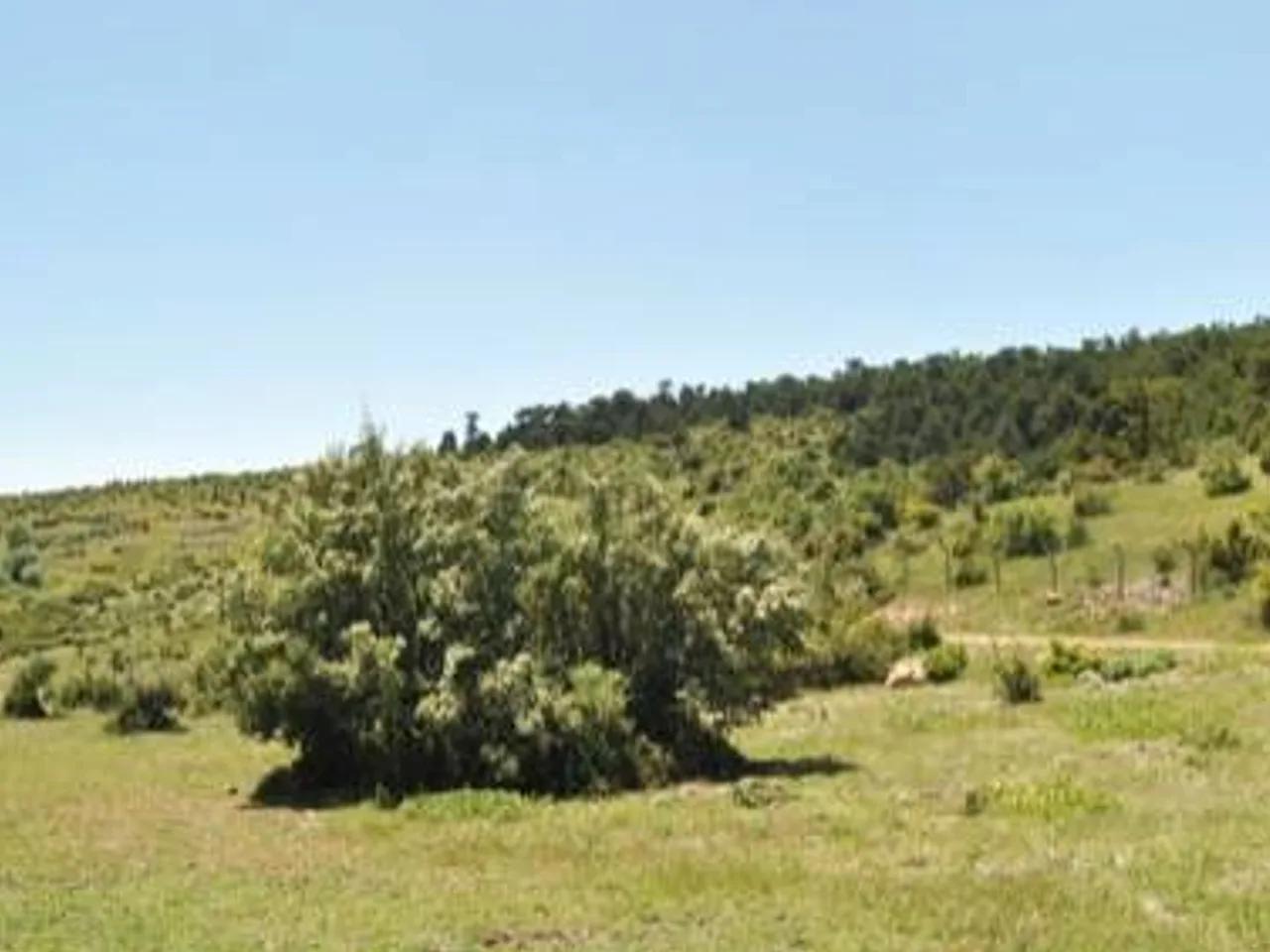Tekkedağı Tabiat Parkı - 3