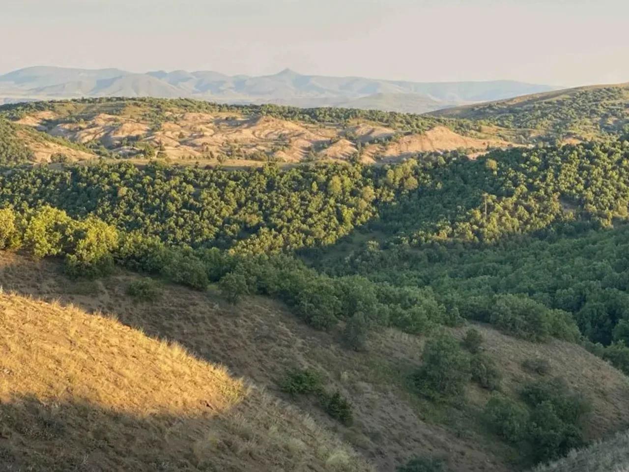 Tepehan, - 2