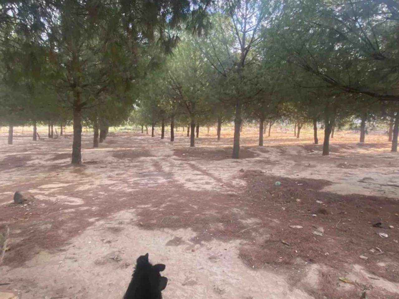 Tepeköy, - 3