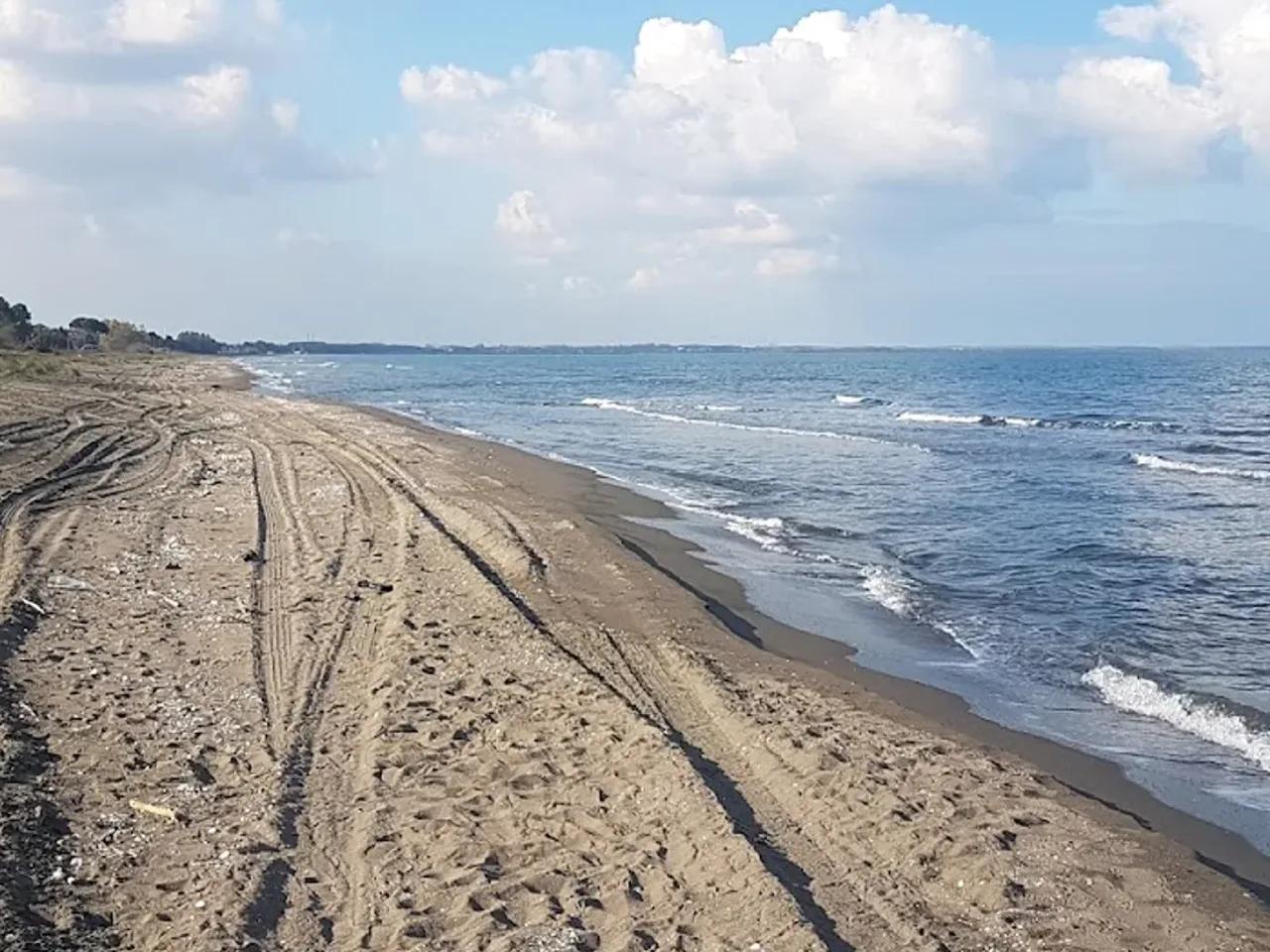 Terme Milic Çevre Eğitim Public Beach - 4