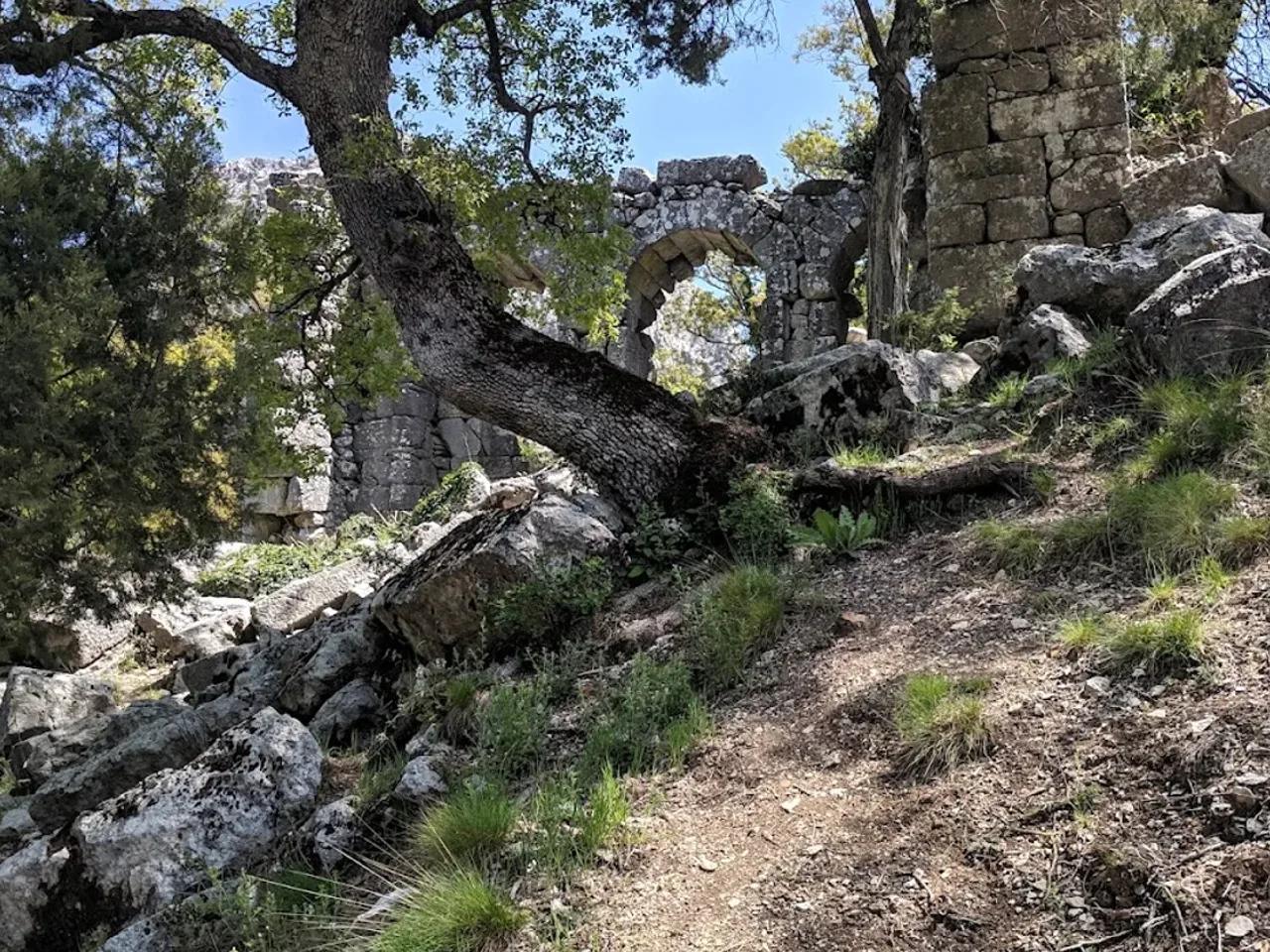 Termessos Milli Parkı - 4