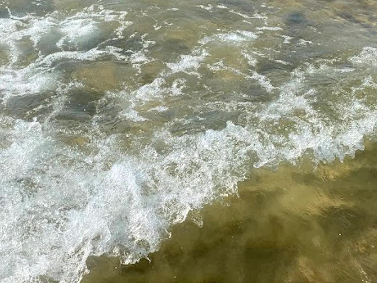 Tırmata Balık & Beach - 1