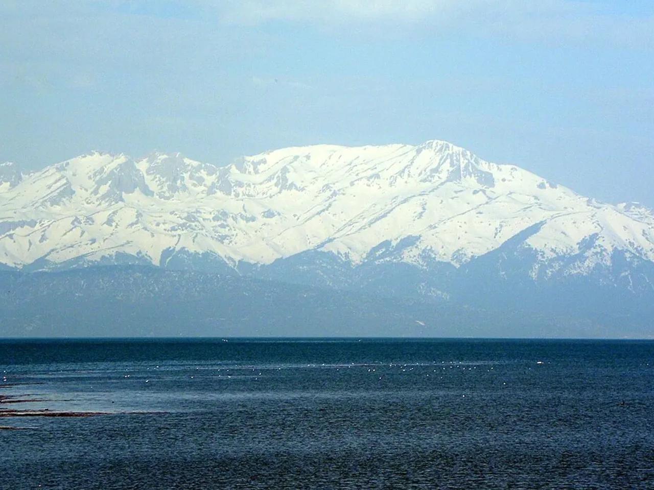 Titrek Kavak Tabiat Anıtı - 2