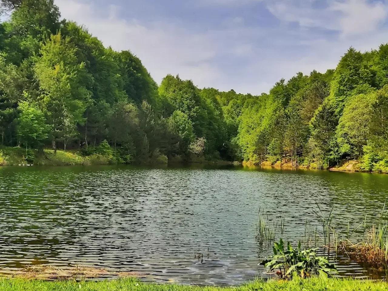 Topuk Yaylası Tabiat Parkı