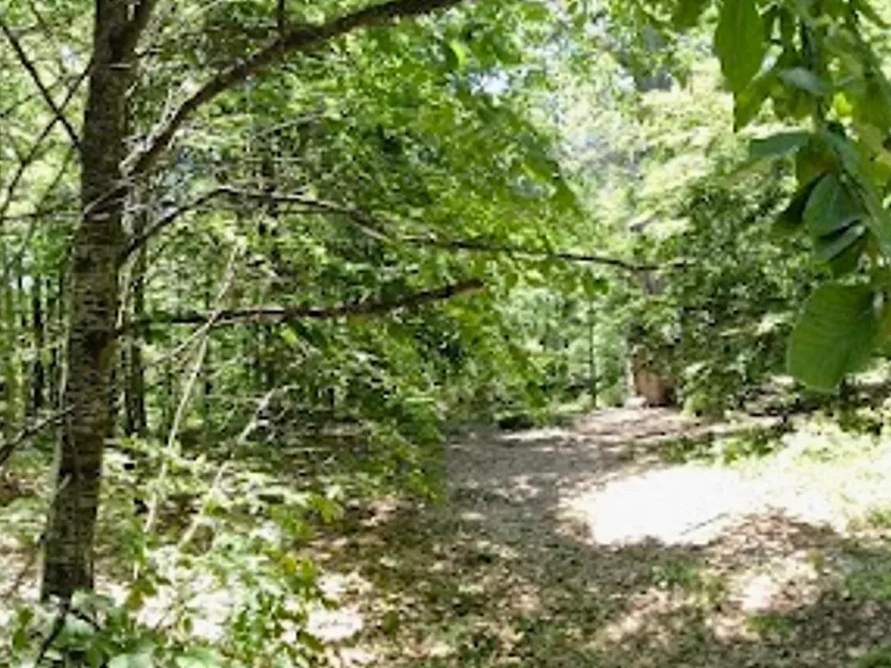 Topuk Yaylası Tabiat Parkı - 2