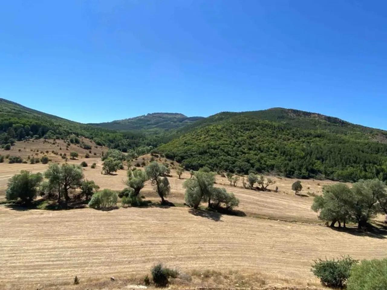 Torul Şiran Yolu - 1