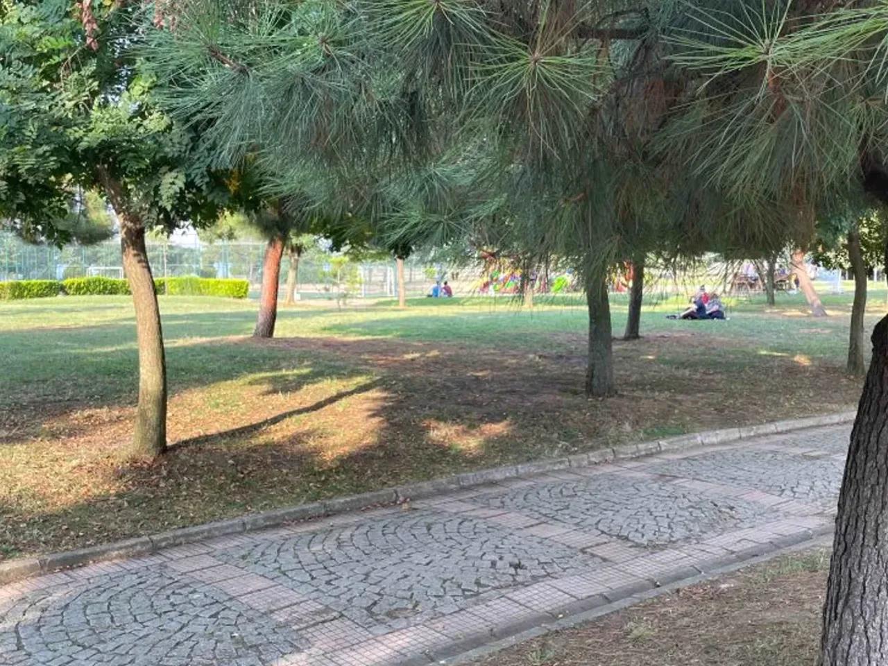 Trabzon,Devlet Karayolu Cd - 2