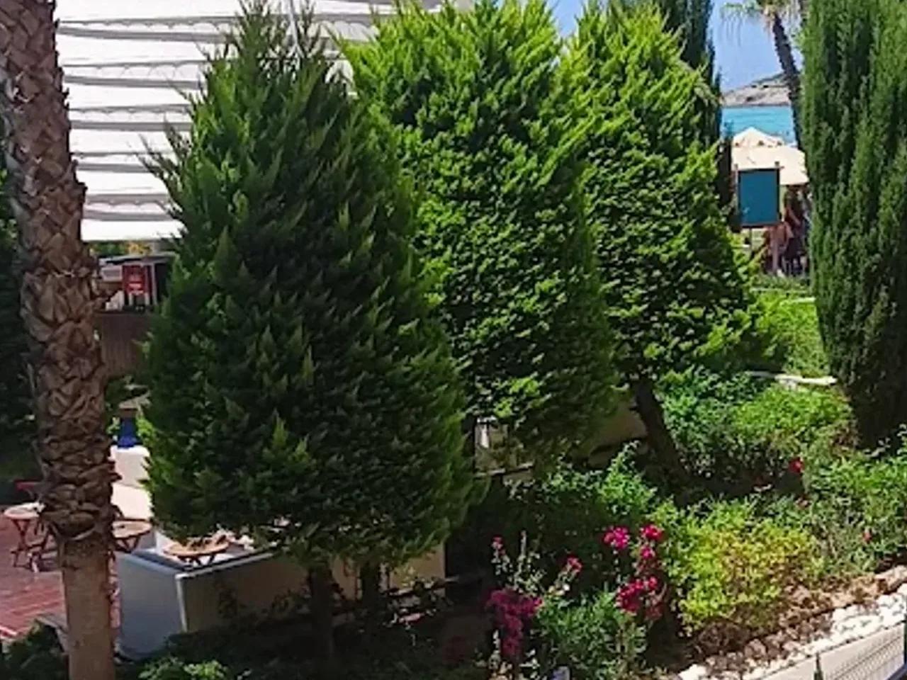 TT Hotels Pegasos Royal - 3