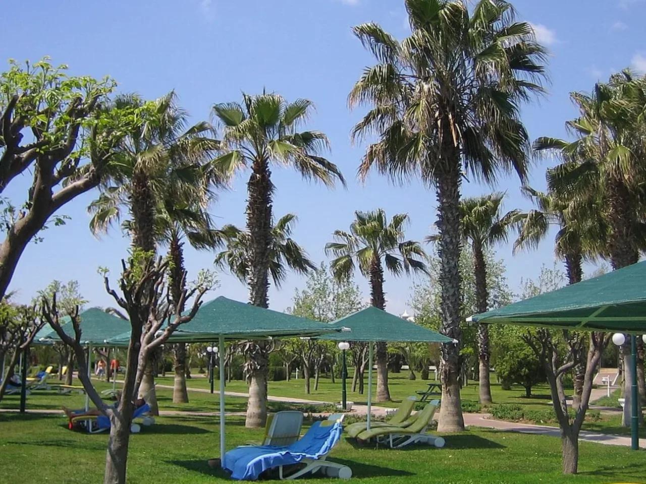 TT Hotels Pegasos World Hotel