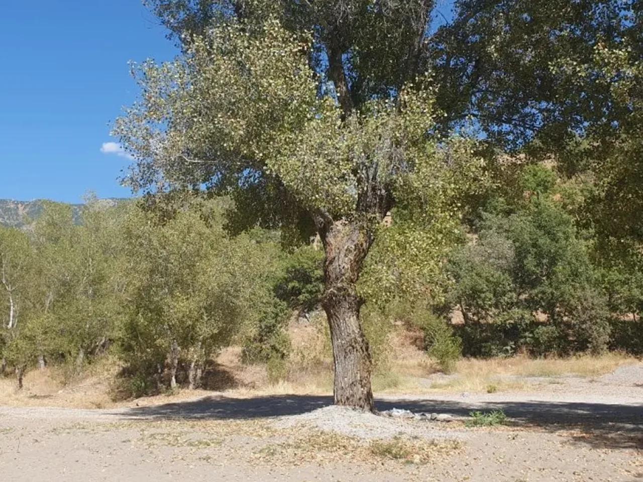Tunceli Merkez,Tunceli OvacikYolu - 1