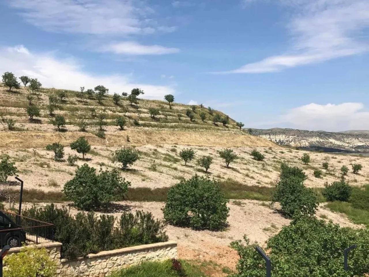 Karavan Parkı - 3