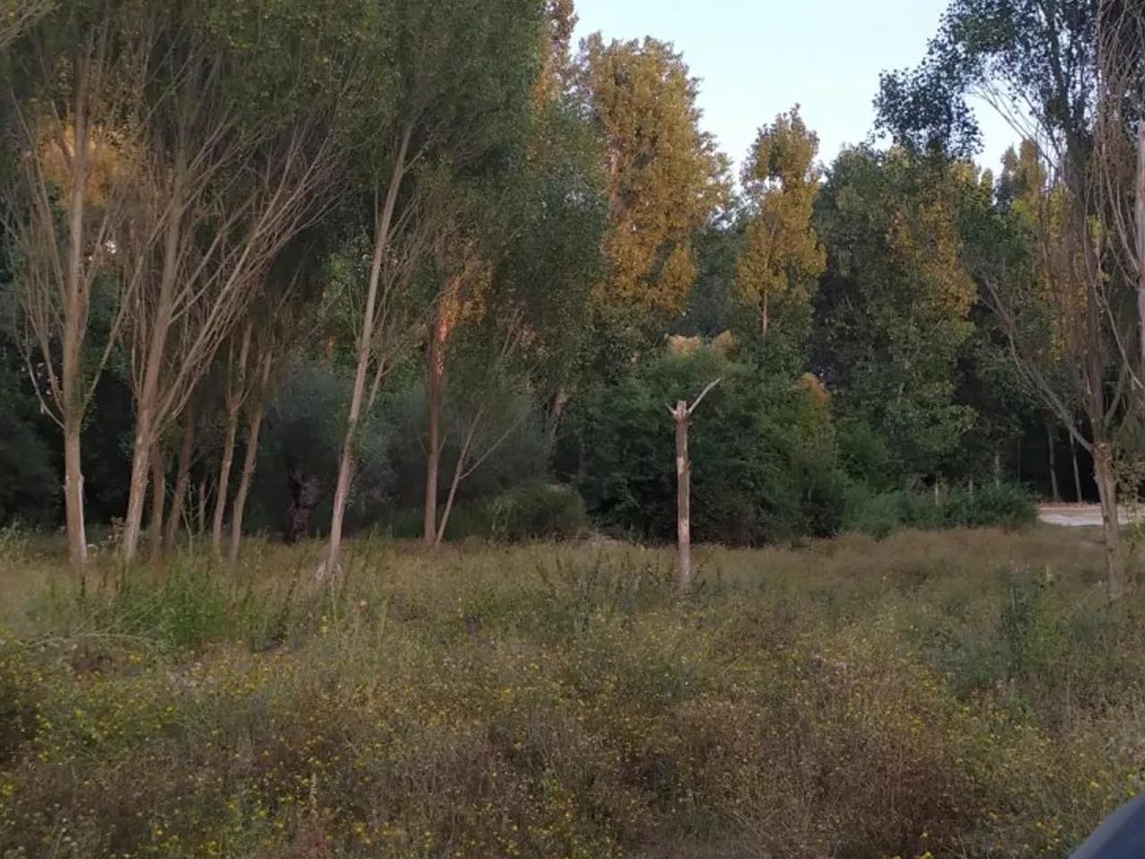 Gece Karavan Parkı - 1