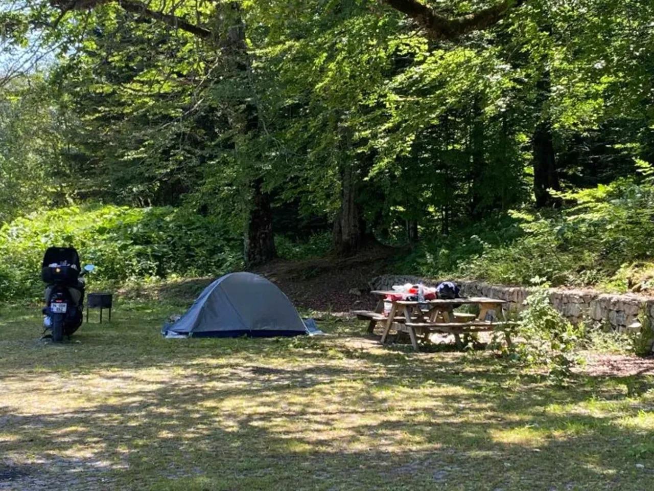 Kamping - 3