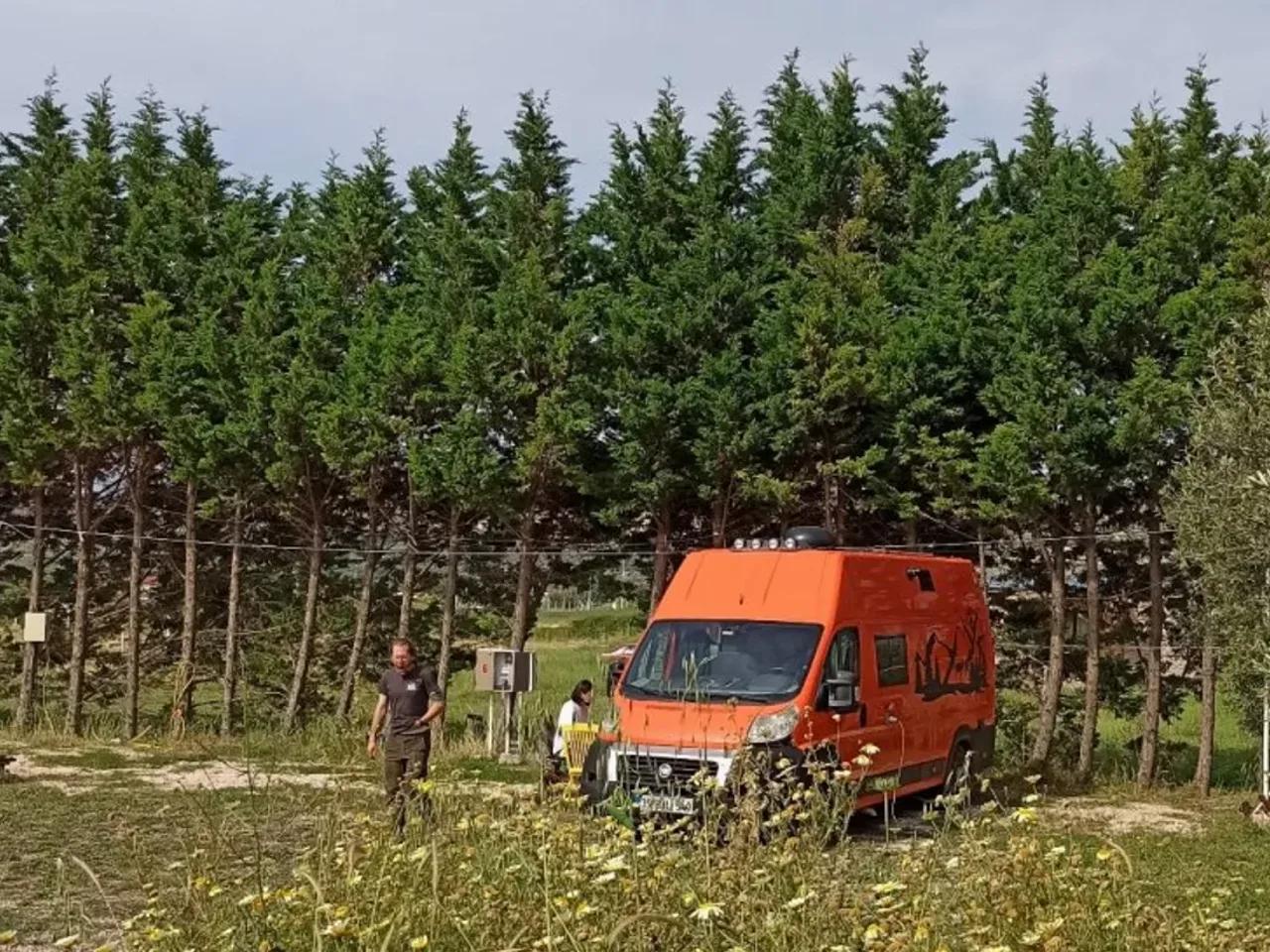 Kamping - 2