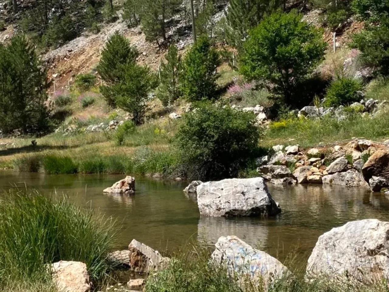 Karavan Parkı - 1