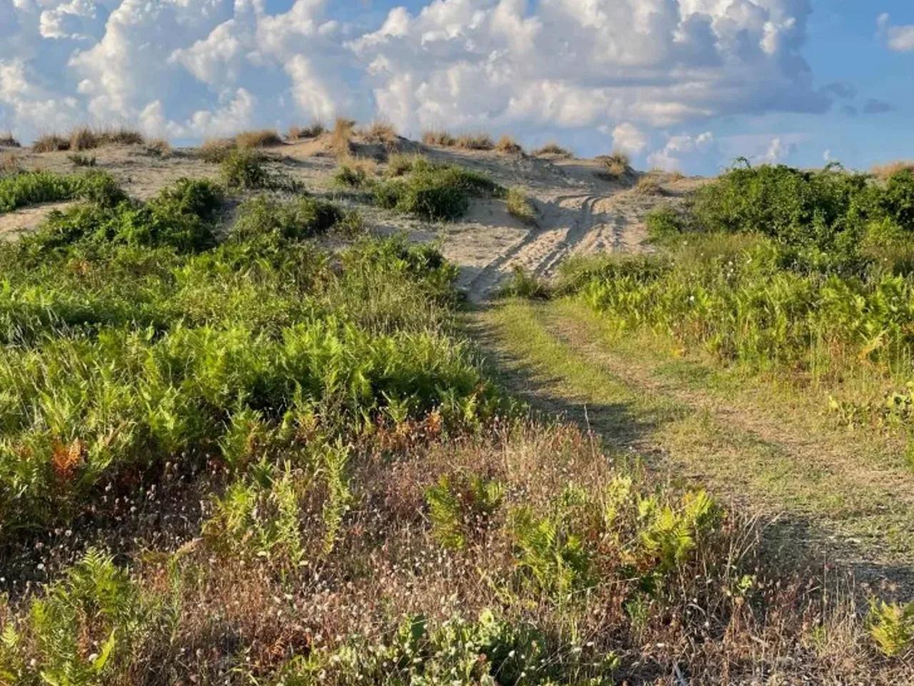 Gece Karavan Parkı - 3