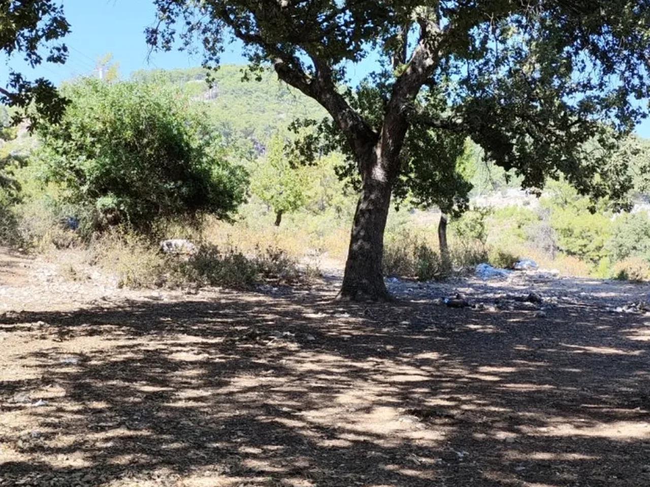 Gece Karavan Parkı - 2