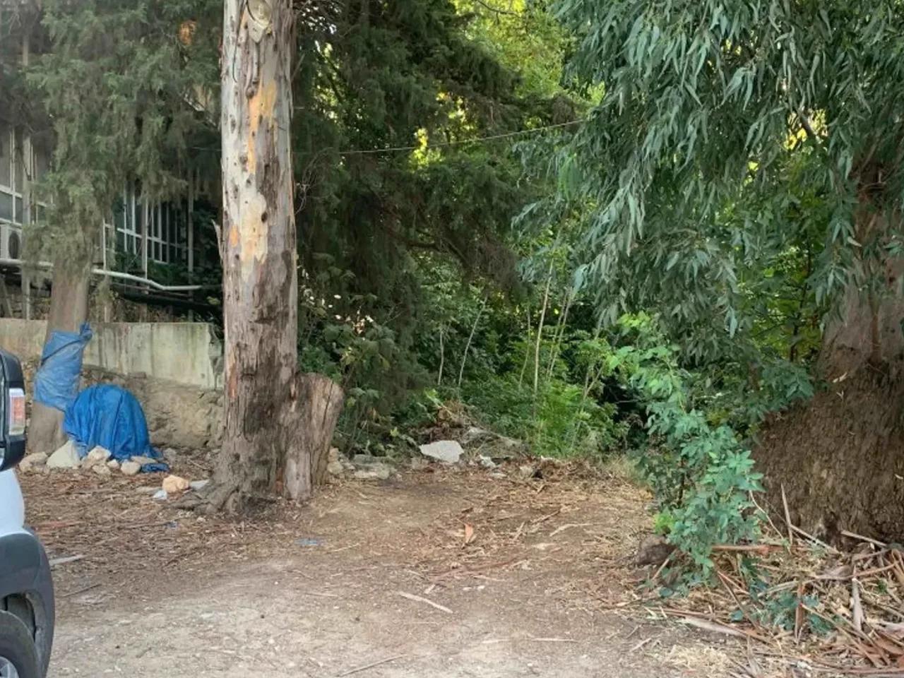 Karavan Parkı - 1