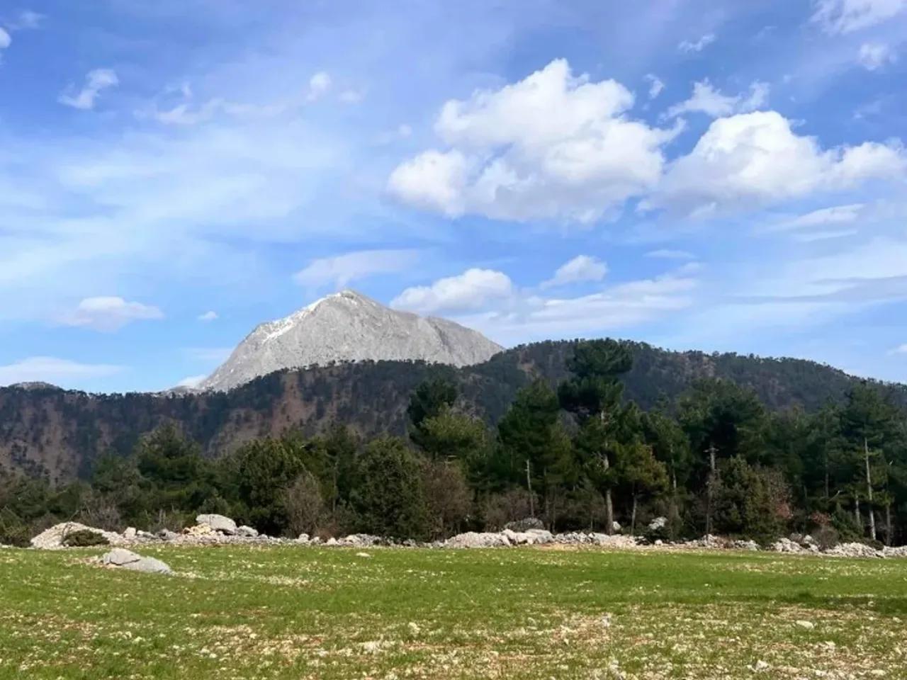 Ulupınar, - 1