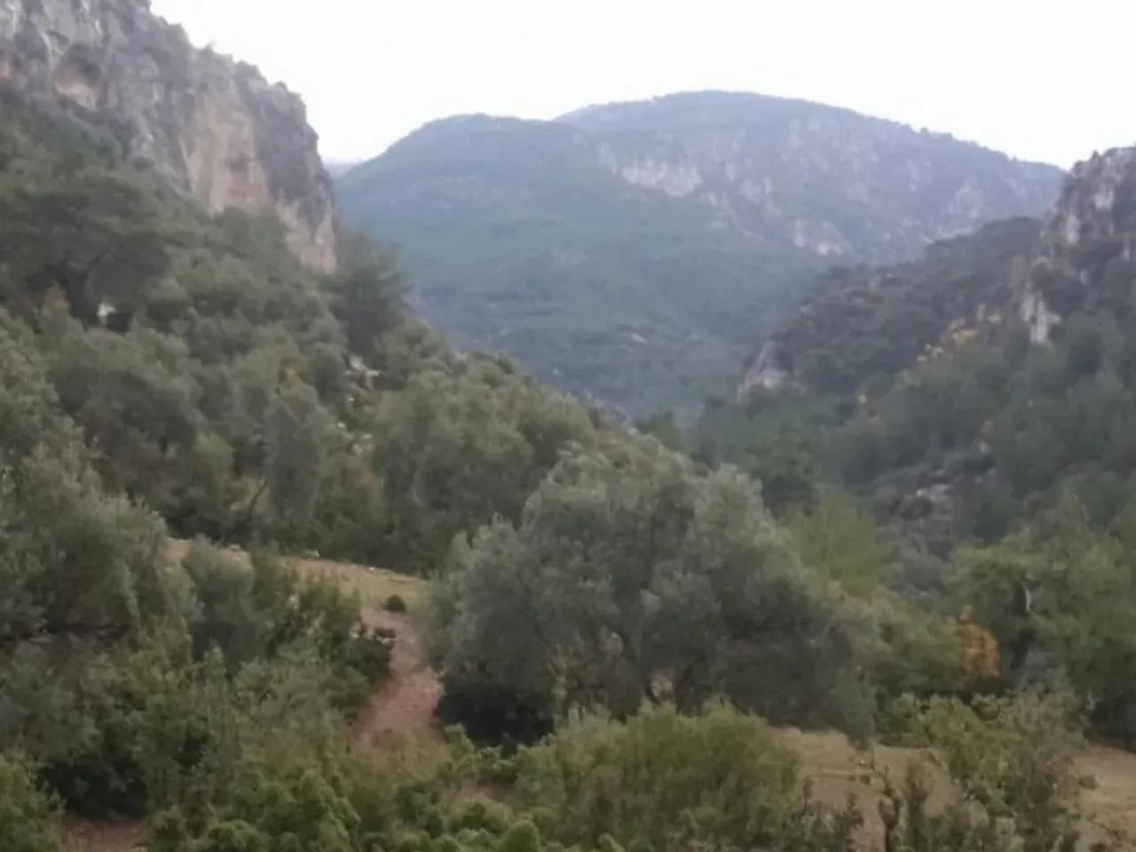 Gece Karavan Parkı - 2