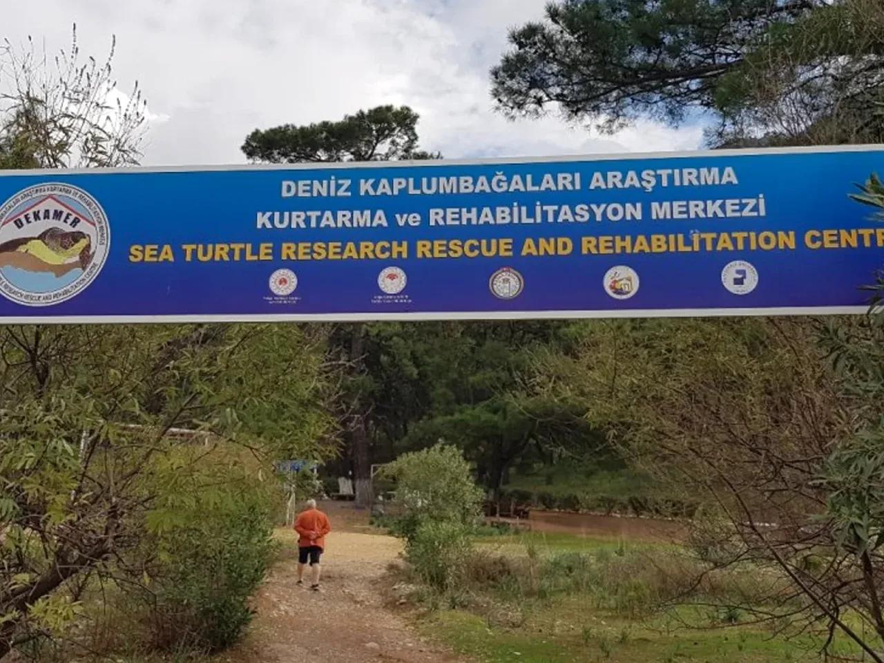 Gündüz Karavan Parkı - 1