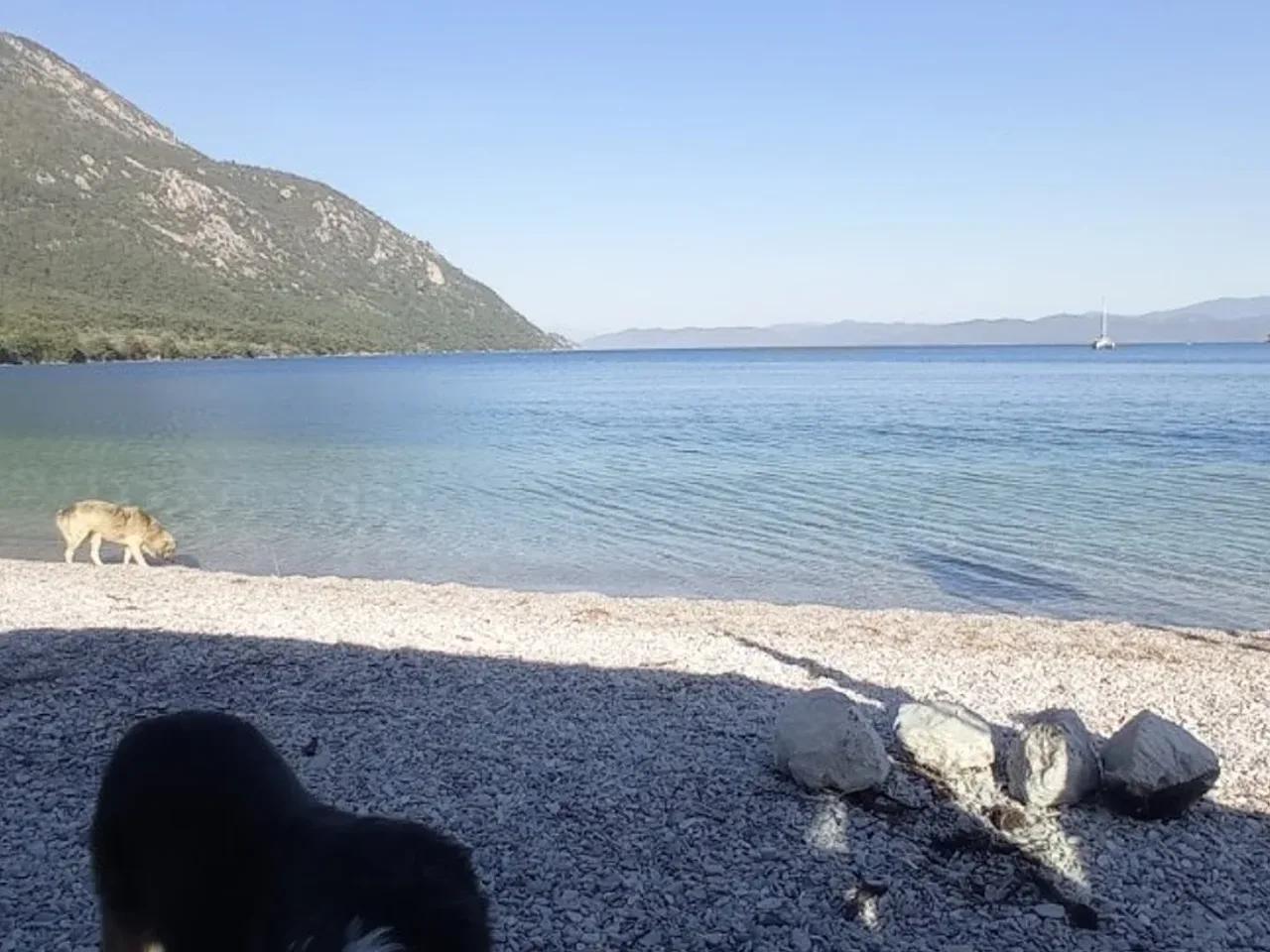 Gündüz Karavan Parkı - 2