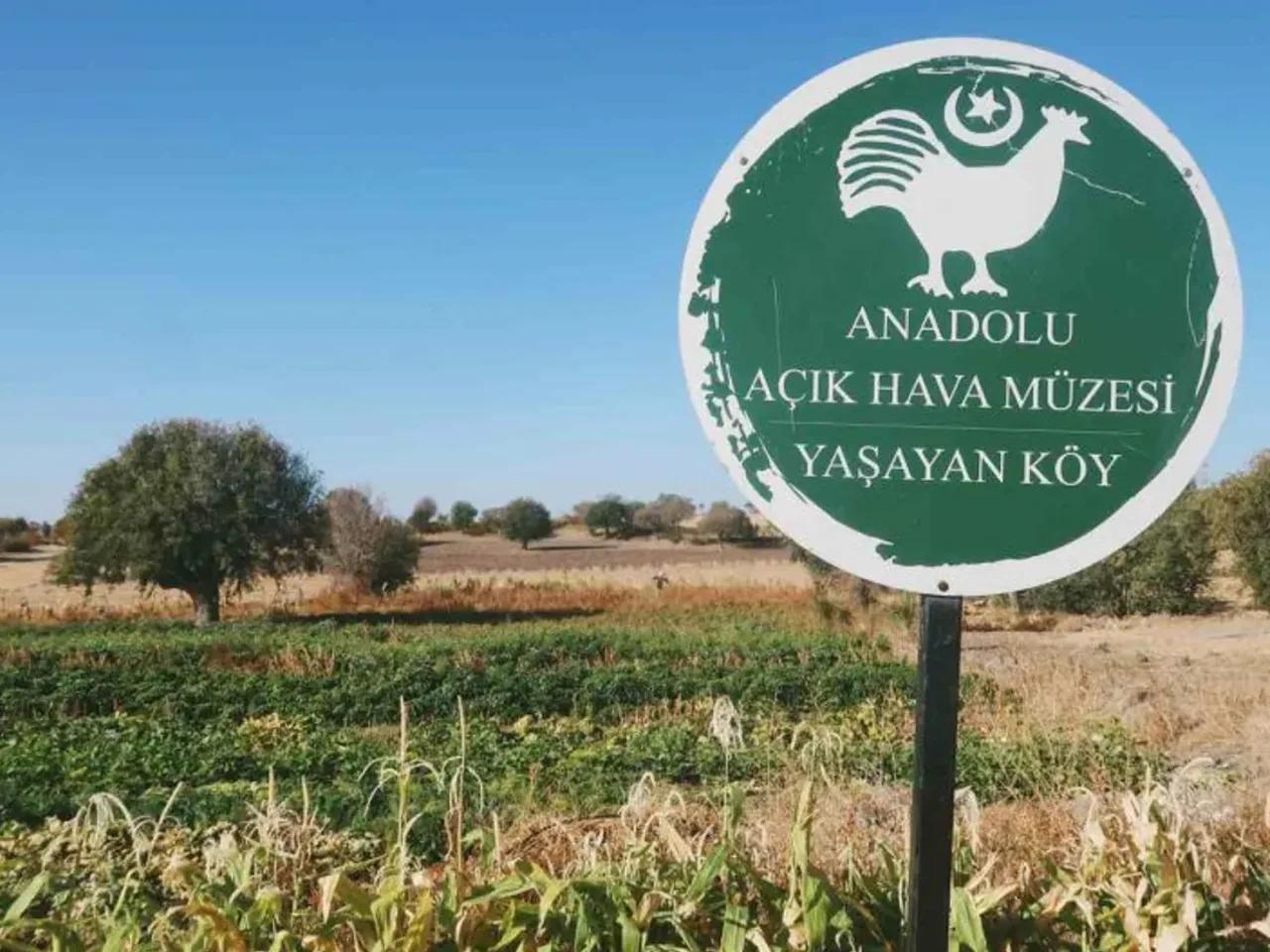 Karavan Parkı - 1