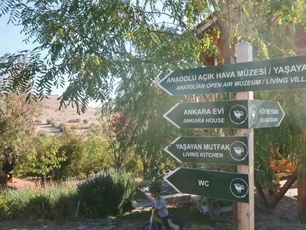 Karavan Parkı - 2