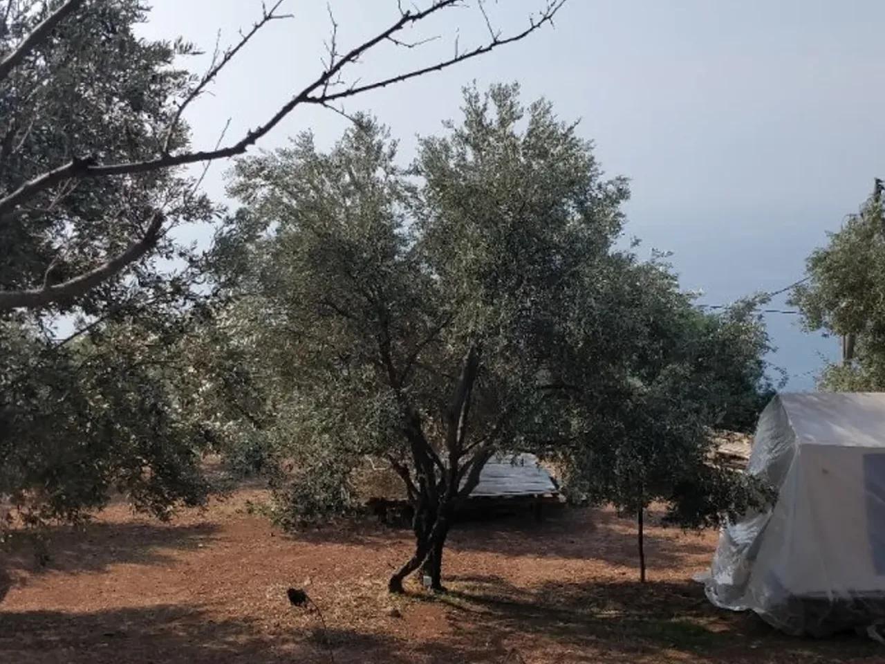 Kamping - 1