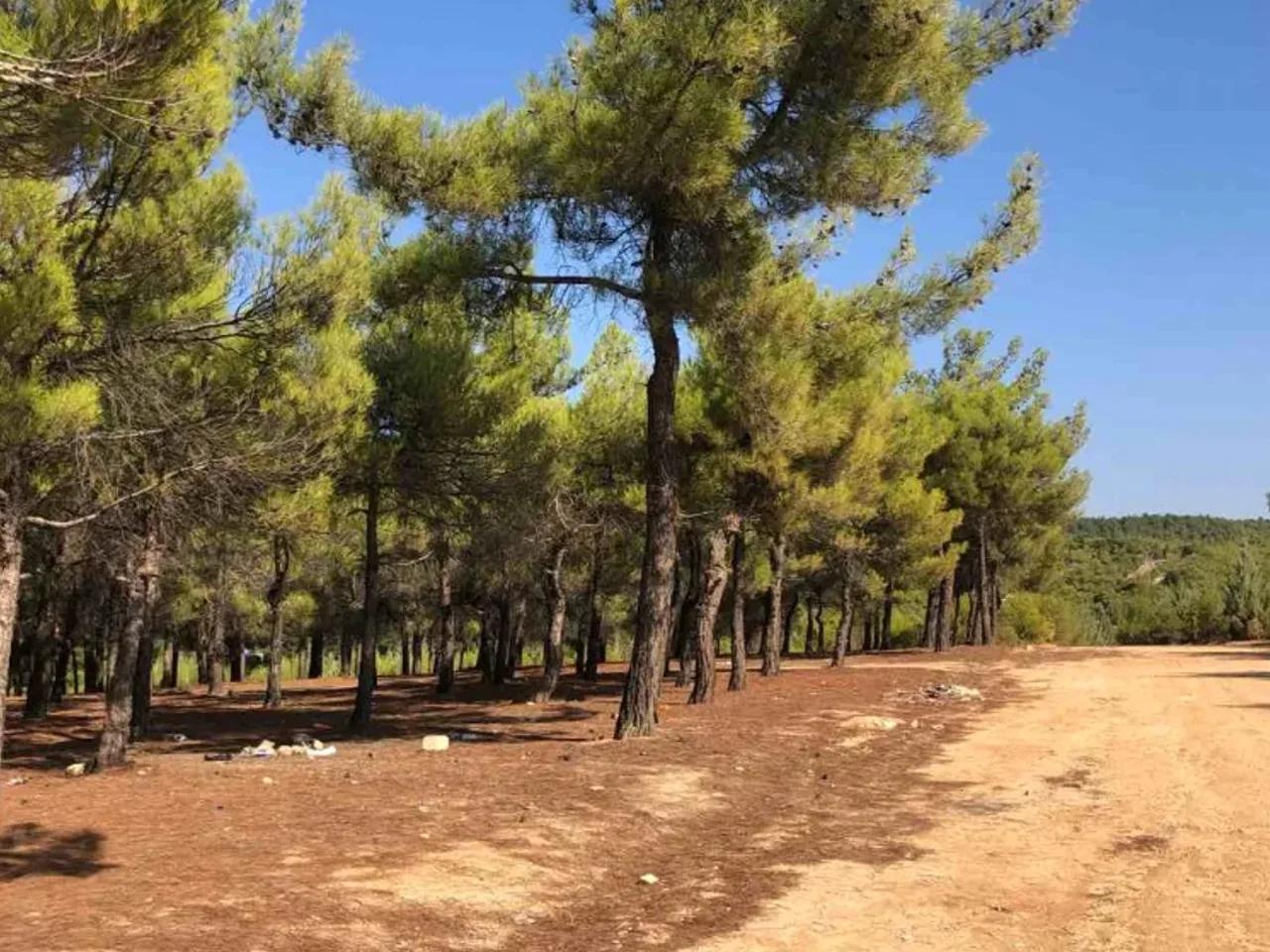 Gece Karavan Parkı - 3