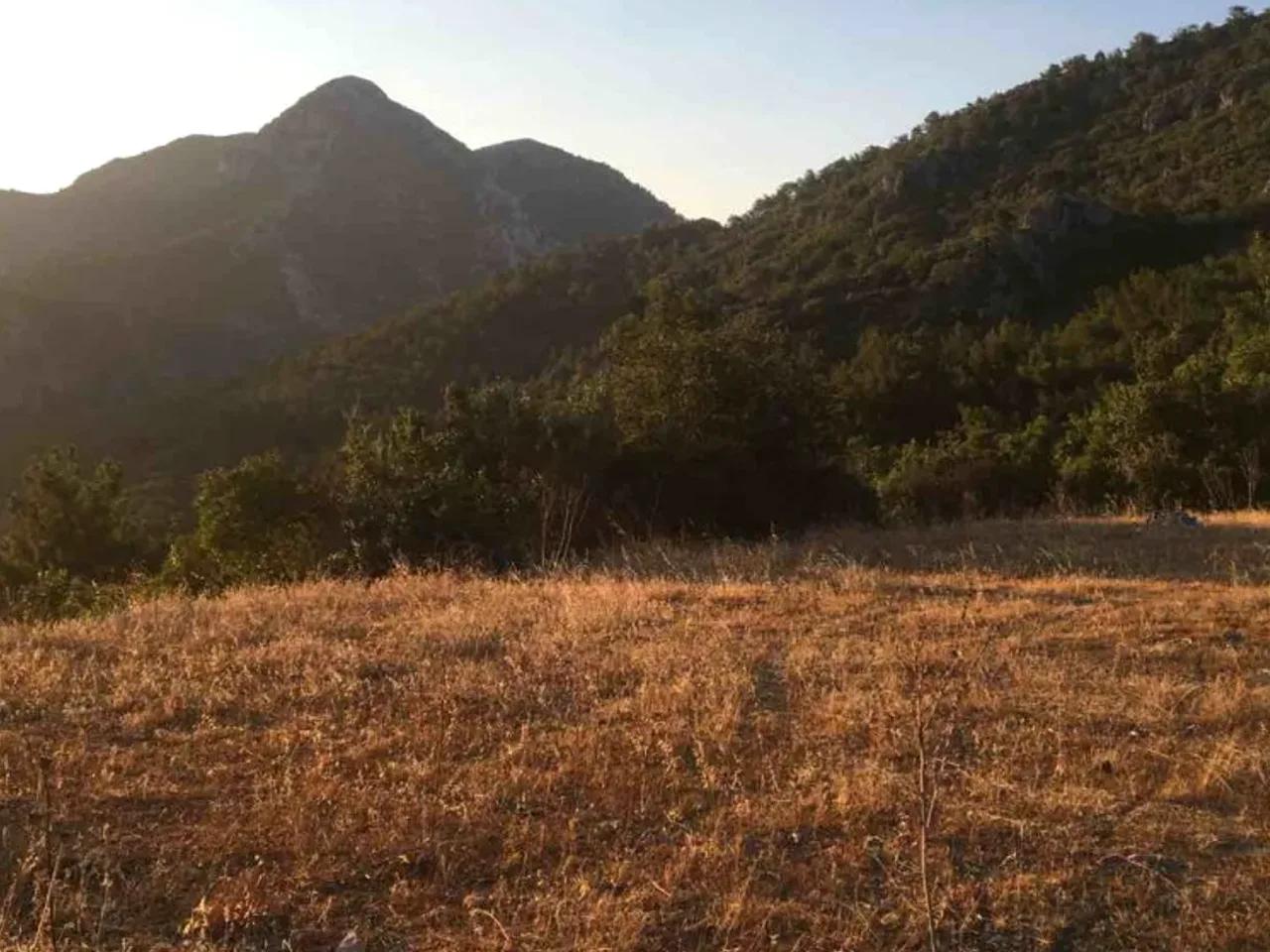 Gece Karavan Parkı - 1