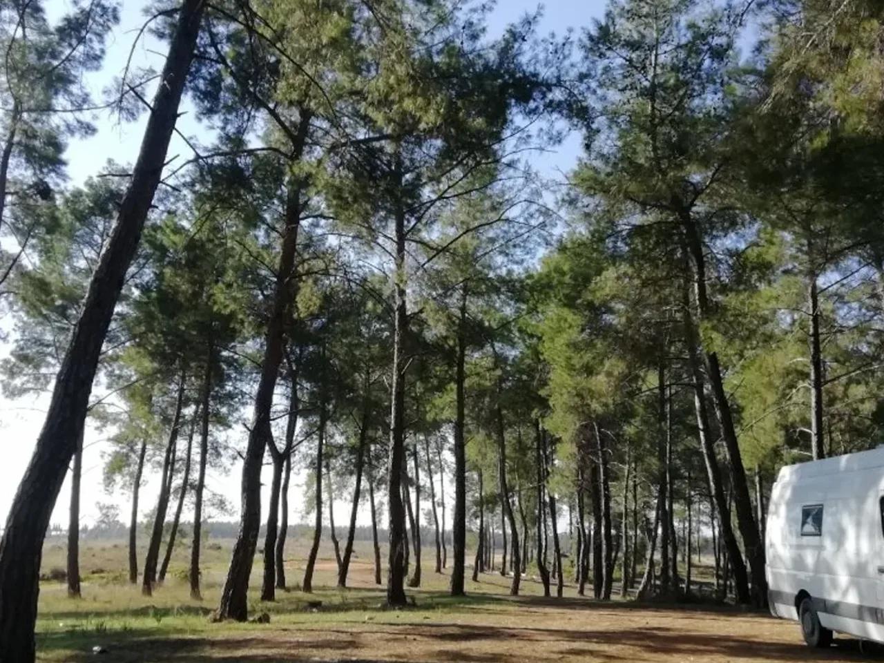 Gece Karavan Parkı - 2