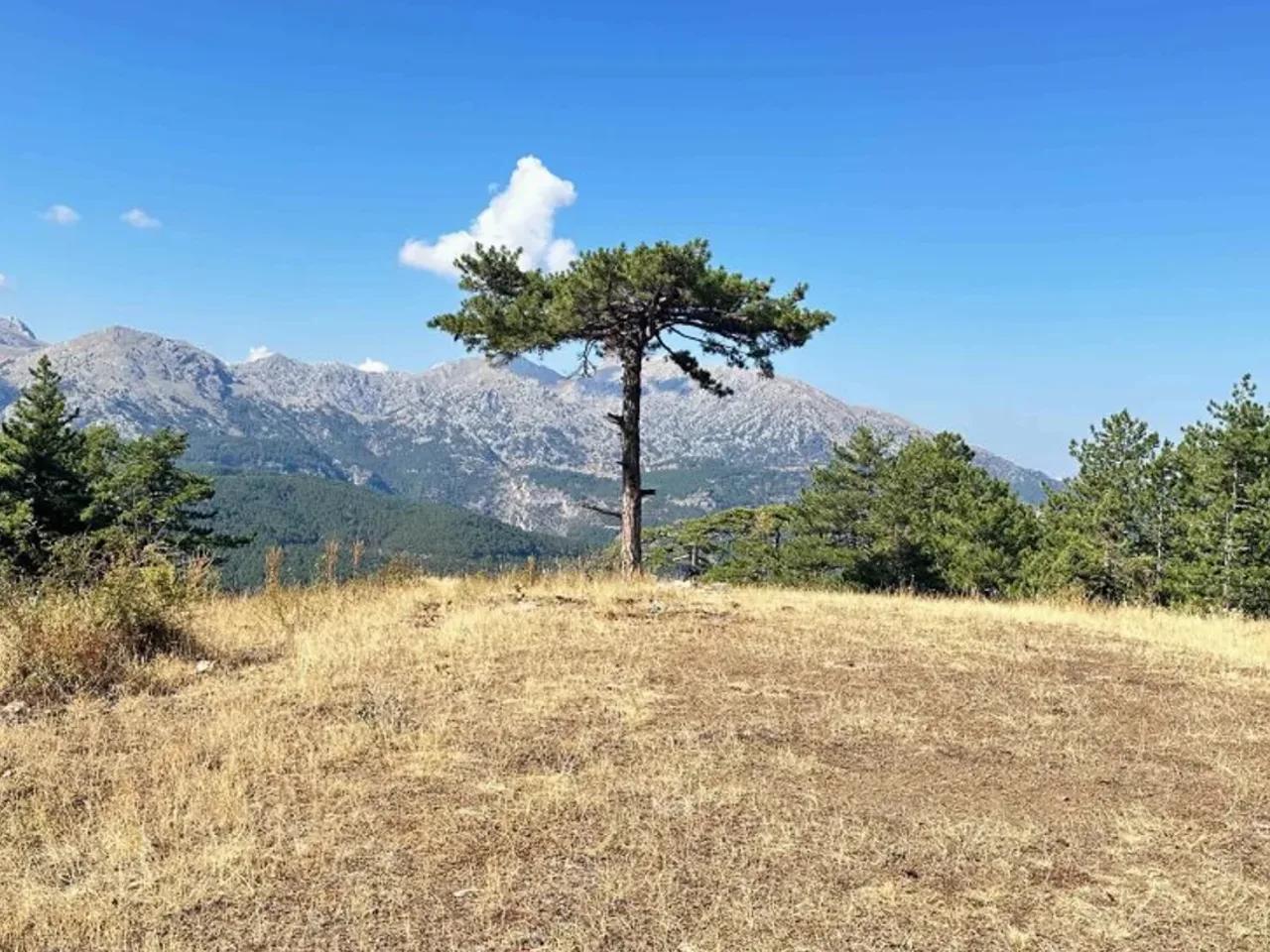 Gece Karavan Parkı - 3