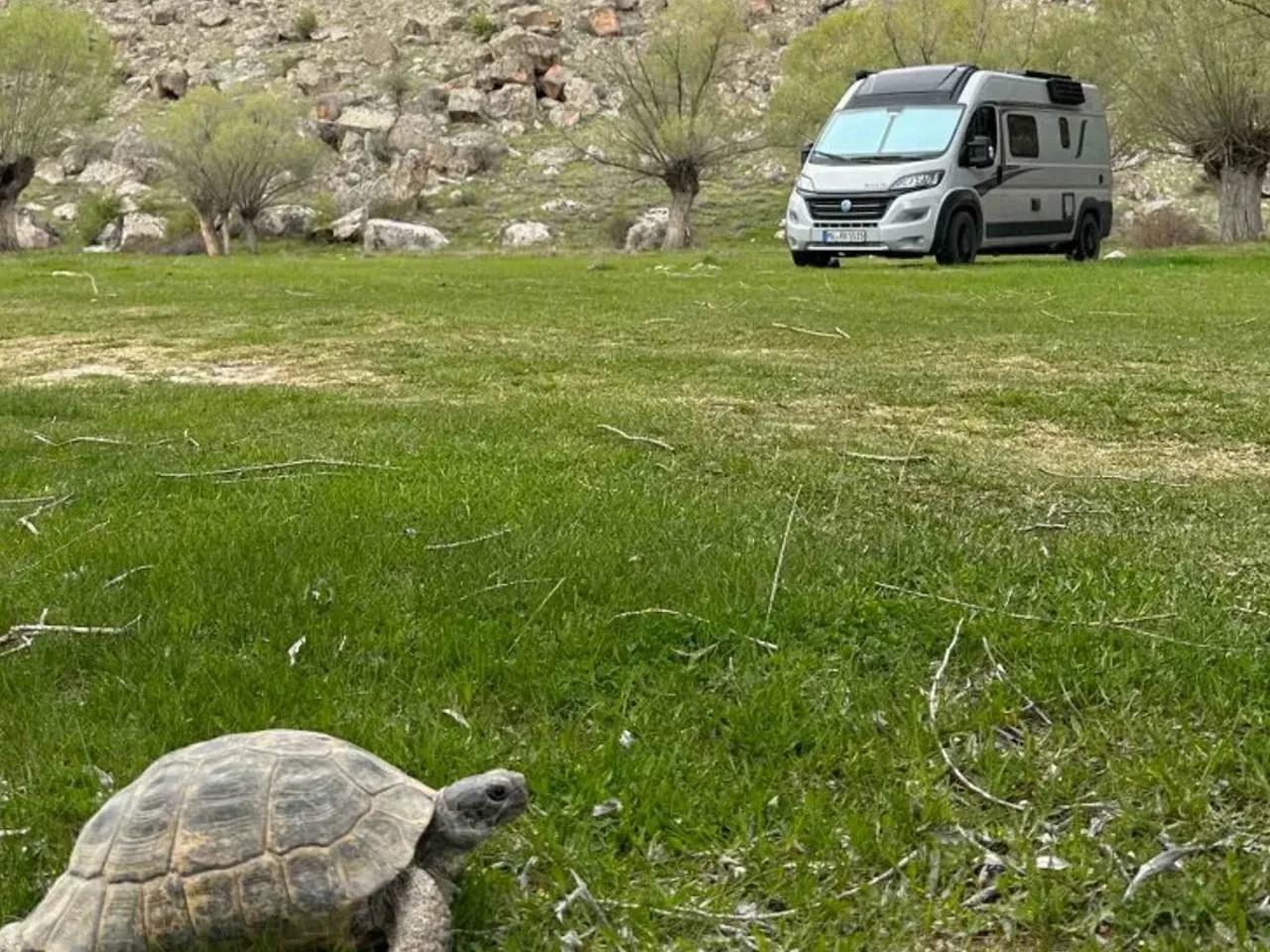 Gece Karavan Parkı - 1