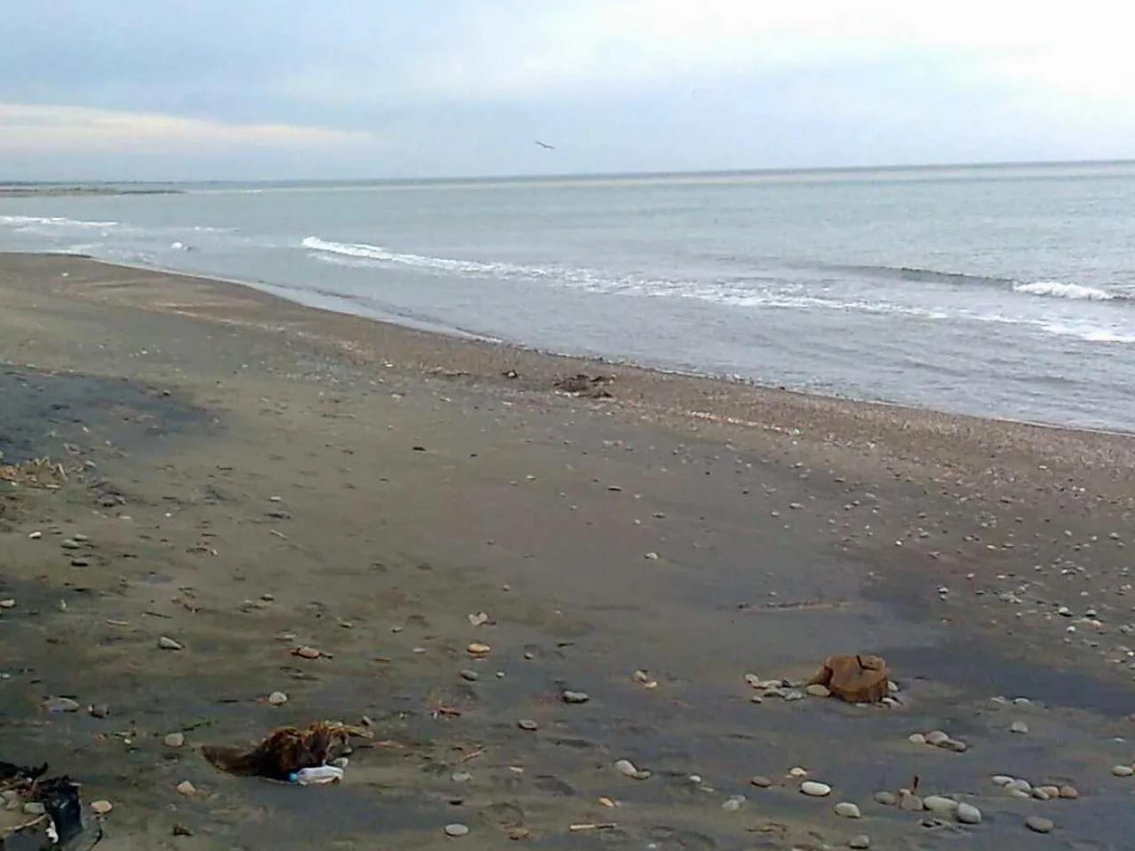 Ünye Gölevi İnciraltı Plajı - 3