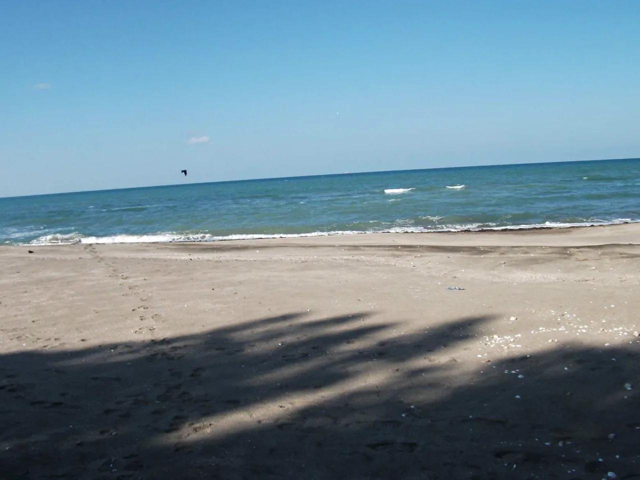 Ünye Mavi Deniz Kumsal Plajı