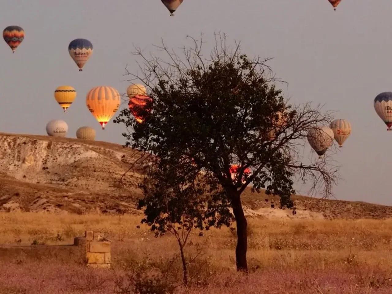 Ürgüp Yolu - 2