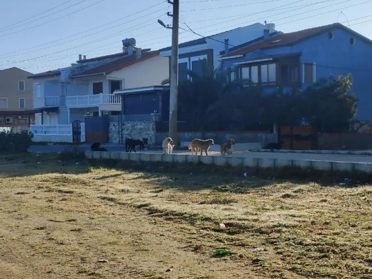 Urla,194 A İçmeler Caddesi - 2