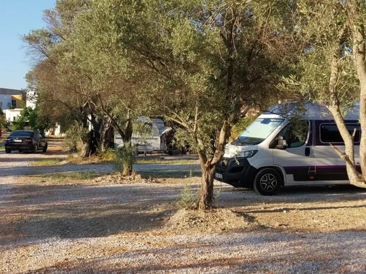 Urla,328 Çeşme Urla İzmir Asfaltı Caddesi - 2
