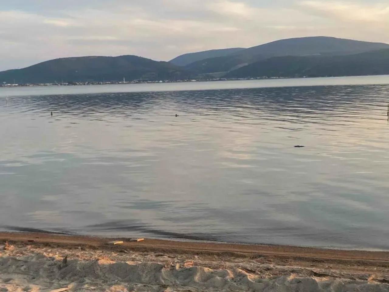 Urla,6109. Sk. - 1
