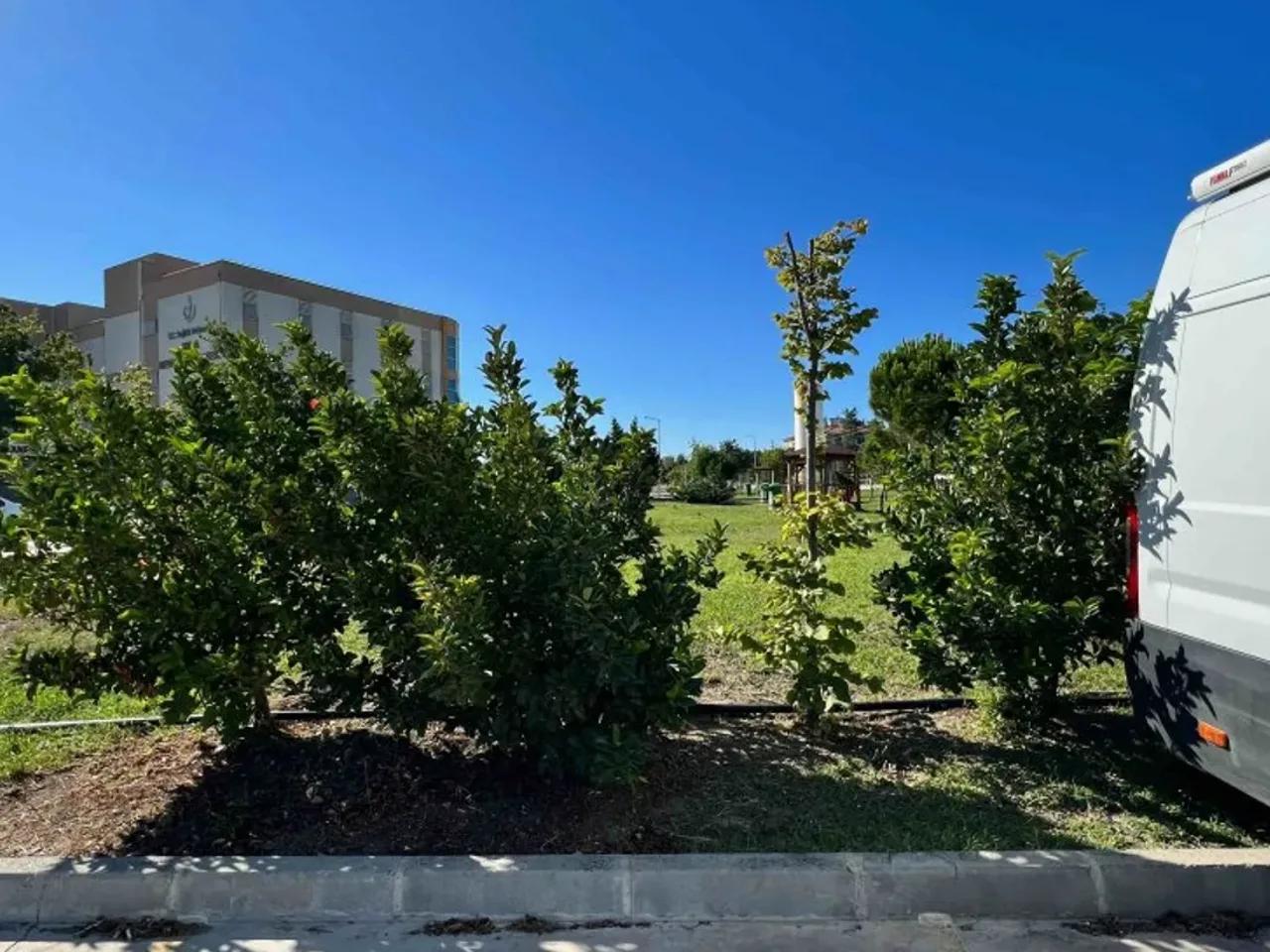 Urla,Özbek Yolu Cd - 1