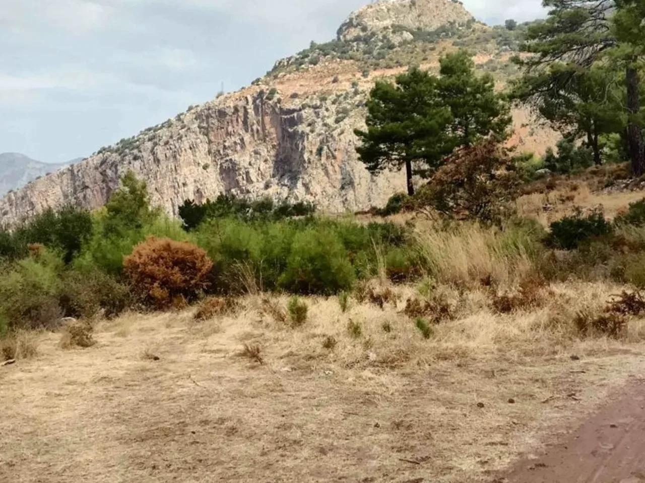 Uzunyurt, - 3