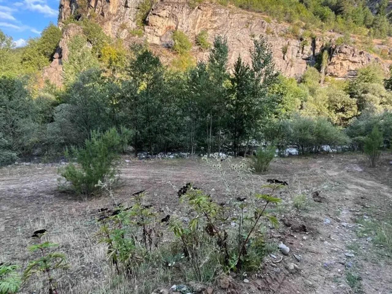 Veliköy Yolu - 2