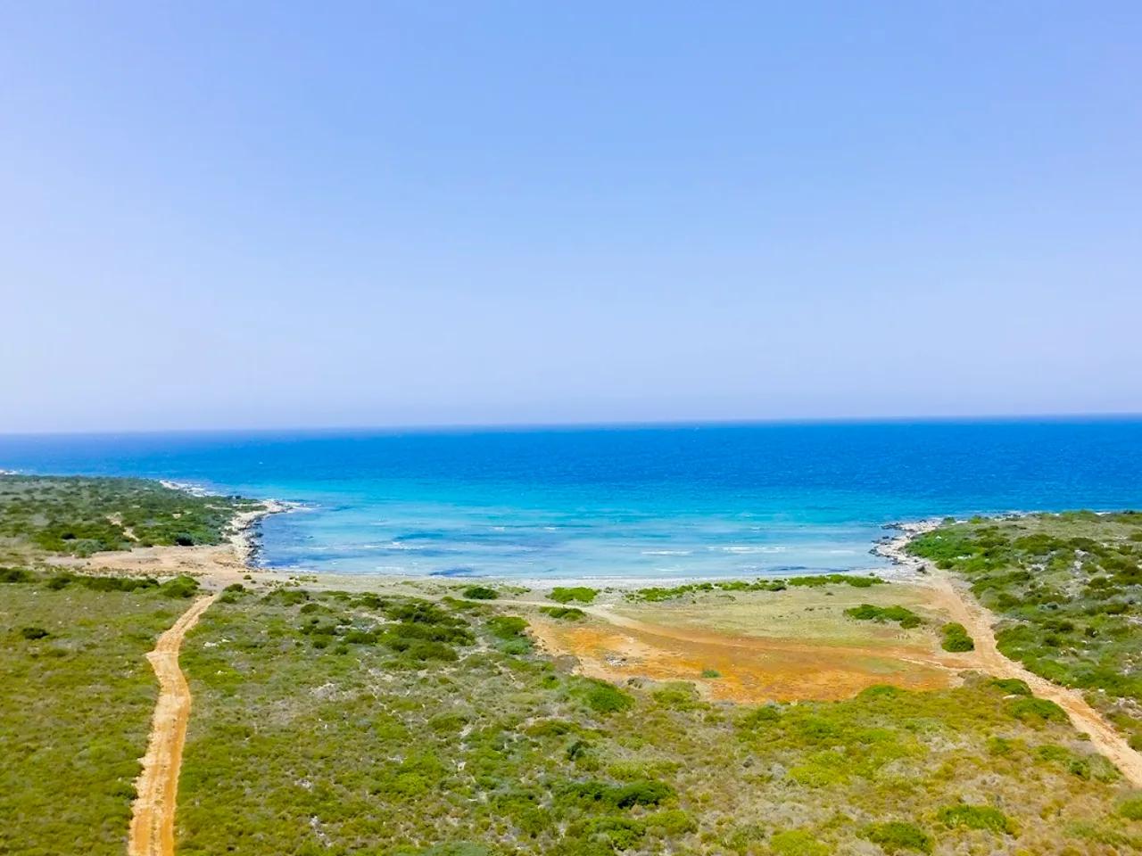 Woodsmantr Plajı - 1